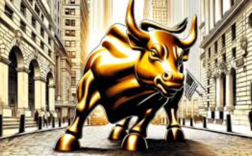 What is the next after bull run